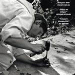 dvd De roeping